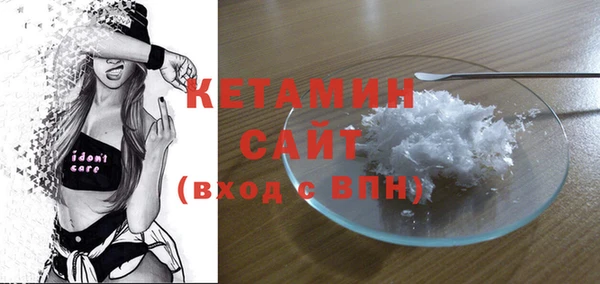 СК Пересвет
