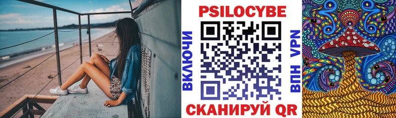 mega tor  Усмань  Псилоцибиновые грибы Psilocybine cubensis 